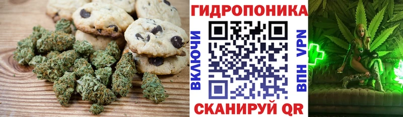кракен вход  сколько стоит  Великие Луки  Cannafood марихуана 