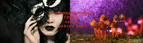 ALPHA PVP Беломорск