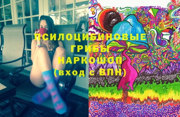 стаф Белокуриха