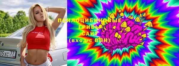 стаф Белокуриха
