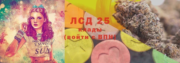стаф Белокуриха