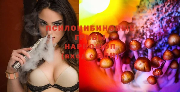 стаф Белокуриха