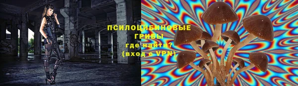 стаф Белокуриха